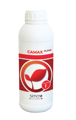 CAMAX