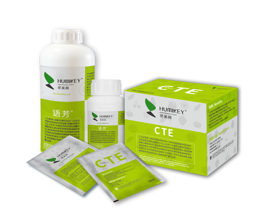 CTE
